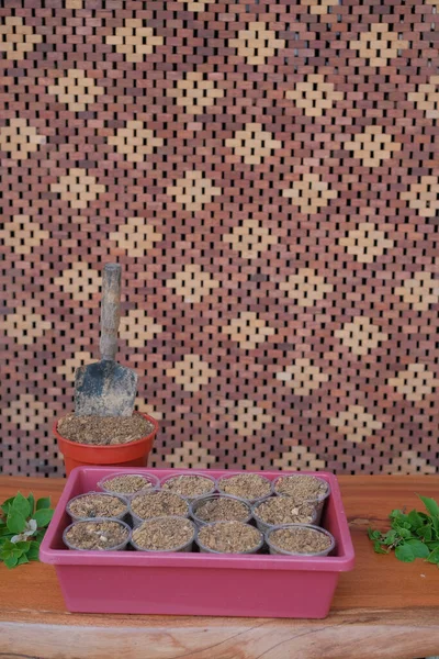 Aziatische Mannen Maken Plant Voortplanting Door Het Kweken Van Nieuwe — Stockfoto