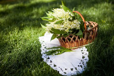 Sepetteki vadideki güzel zambak demeti