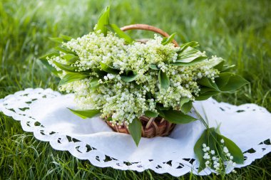 Sepetteki vadideki güzel zambak demeti
