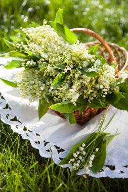 Sepetteki vadideki güzel zambak demeti