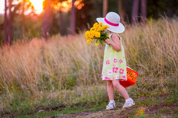 Girl with flowers and basket — Stock Photo, Image