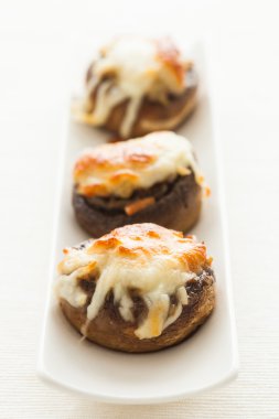 Doldurulmuş mantar..