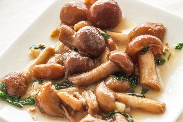 Mushrooms appetizer — Stock Photo, Image