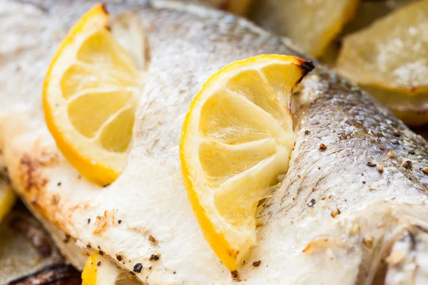 Cooked seabass — Stock Photo, Image