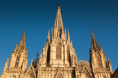 Barselona gothic Katedrali