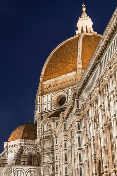 Firenze duomo om natten - Stock-foto