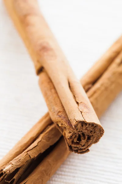 Cinnamon branch — Stock Photo, Image