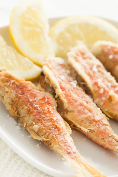 Mullet fish — Stock Photo, Image