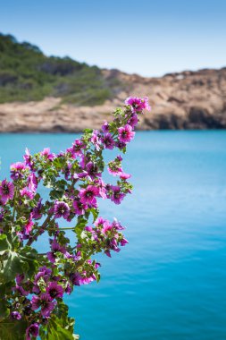 Costa brava detay