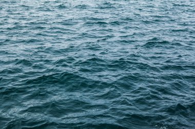 Ocean Doku