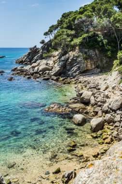Sant Antoni de Calonge