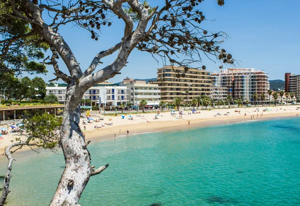 Sant Antoni de Calonge — Stock fotografie