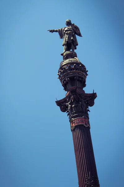 Dikke darm — Stockfoto