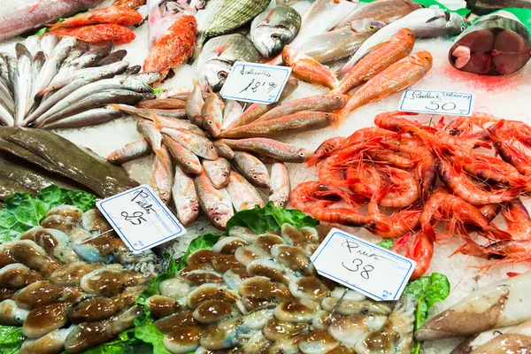 Frischer Fisch — Stockfoto