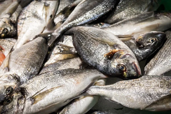 Puesto de pescado — Foto de Stock