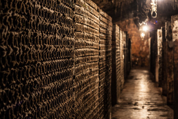 Old wine cave with old wine bottles.
