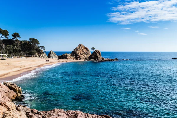 Tossa de mar —  Fotos de Stock