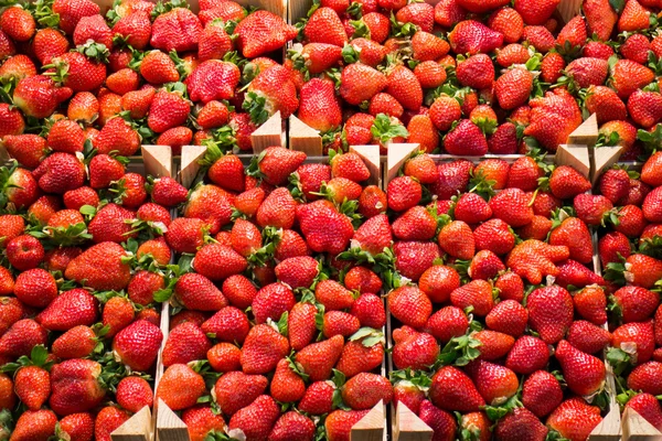 La Boqueria — Photo