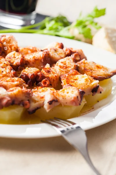 Pulpo español —  Fotos de Stock