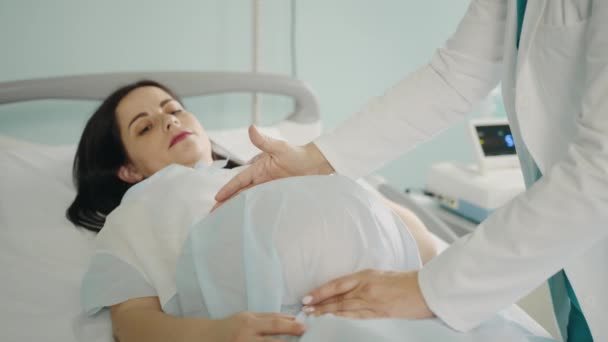 Ciężarna kobieta leżąca na medycznej kanapie, podczas gdy profesjonalny ginekolog robi palpację brzucha. Lekarz badający pacjentkę przed porodem w nowoczesnej klinice. — Wideo stockowe