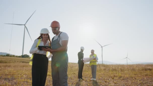 Team of multiracial industrial workers in safety helmets controlling process of green energy production on farm with wind turbines. Multiracial colleagues controlling work of windmill farm — Stock Video