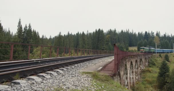 Pociąg przejeżdża przez most ze starym wiaduktem z kamienia. Pociąg przejeżdżający przez piękny kamienny most. Pociąg mijający historyczny wiadukt. Widok z przodu potężnej lokomotywy na kolei. Lokomotywa z wagonami — Wideo stockowe
