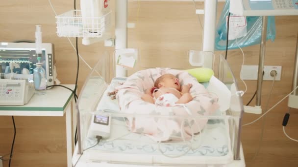 A newborn child in the hospital. Baby in vertex inside incubator — стоковое видео