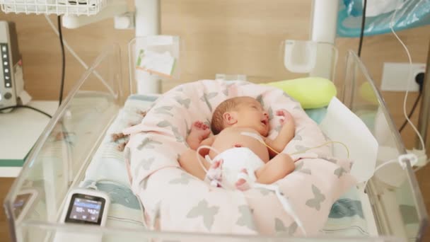 Two-day-old newborn baby in intensive care unit in a medical incubator. Newborn rescue concept. Premature newborn baby in the hospital incubator after c-section in 33 week. Hospital incubator. — Video