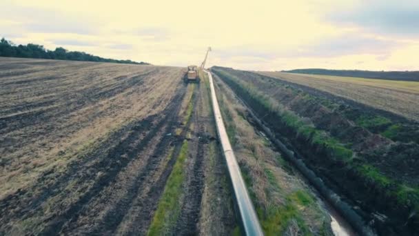 Pipeline construction. Tractor pipelayer lays a gas pipeline. Construction of a new gas pipeline. Photo from a quadrocopter. — Stock Video