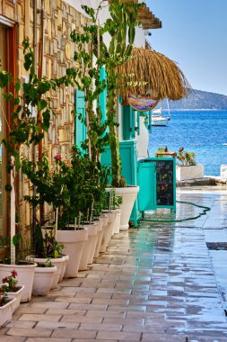 Colorful streets with white houses and curly flowers in Bodrum, Turkey
