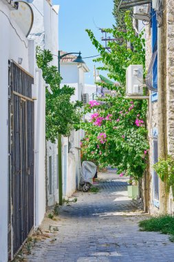 Colorful streets with white houses and curly flowers in Bodrum, Turkey