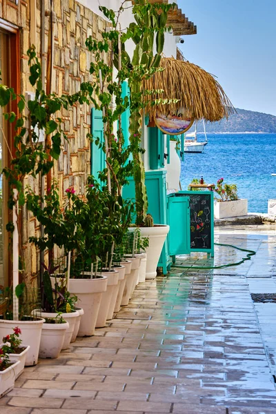 Colorful Streets White Houses Curly Flowers Bodrum Turkey — Φωτογραφία Αρχείου