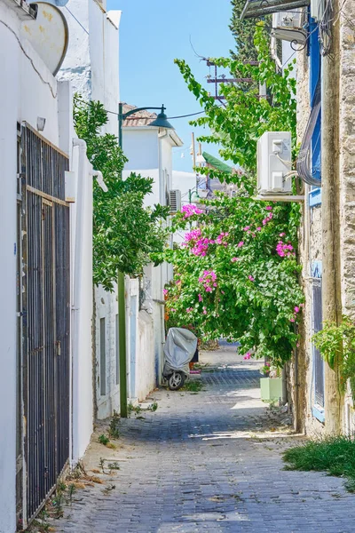 Colorful Streets White Houses Curly Flowers Bodrum Turkey — Foto de Stock
