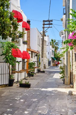 12 Temmuz 2022 Bodrum, Türkiye 'de renkli kapıları ve pencereleri olan renkli caddeler ve kıvırcık çiçekler