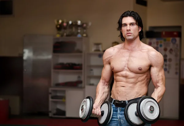 Shirtless muscular man holding weights (two dumbbells) — Fotografie, imagine de stoc