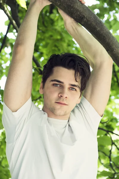 Attractive young man hanging from tree branch — Stock Photo, Image