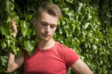 sarışın yakışıklı genç yeşil sarmaşık duvara karşı