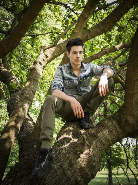 Pohledný mladý muž sedí na větvích stromu — Stock fotografie
