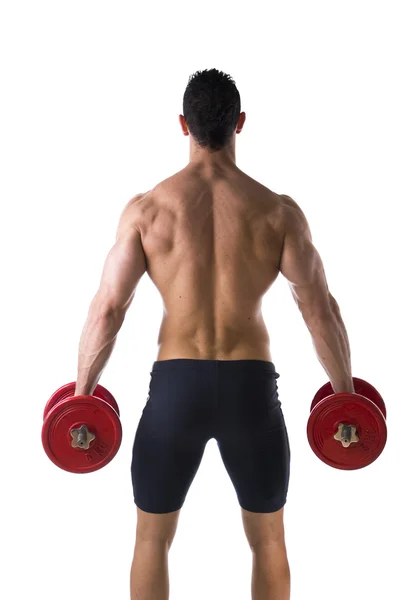 На спине мускулистого молодого человека, держащего гантели — стоковое фото