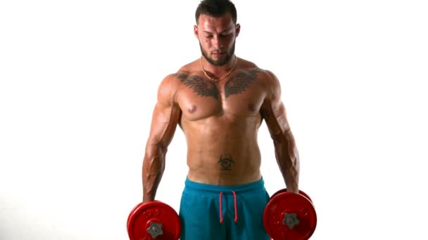 Muscular Sexy Shirtless Tattooed Man Exercising Biceps Dumbbells Isolated White — Αρχείο Βίντεο