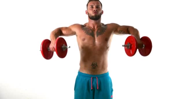 Muscular Sexy Shirtless Tattooed Man Exercising Shoulders Dumbbells Isolated White — Stok Video