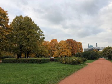 Sonbahar yapraklı güzel ağaçlar