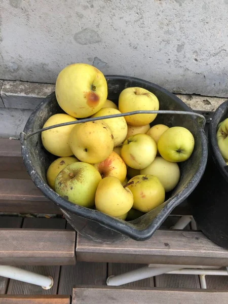 Lahodná Žlutá Jablka Černém Kbelíku — Stock fotografie