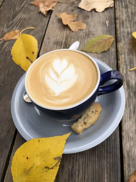 秋の風物詩のカプチーノ — ストック写真