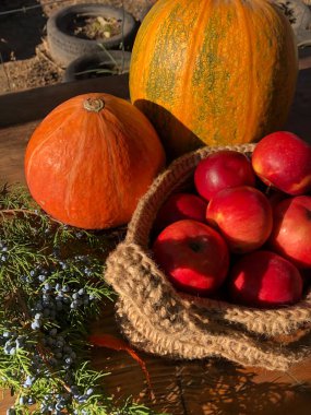 Balkabağı, elma ve çiçekler masada.