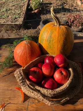 Balkabağı, elma ve çiçekler masada.