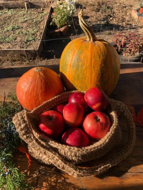 Balkabağı, elma ve çiçekler masada.