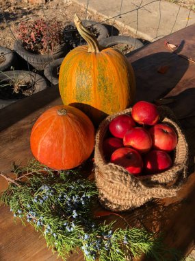 Balkabağı, elma ve çiçekler masada.