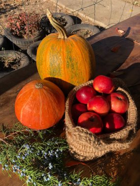 Balkabakları ve çiçekler ahşap bir masada.