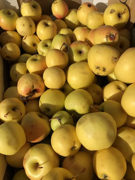 Ζουμερά Κίτρινα Μήλα Στην Αγορά — Φωτογραφία Αρχείου